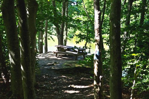 A serene picnic area by a lake, surrounded by trees and dappled sunlight.