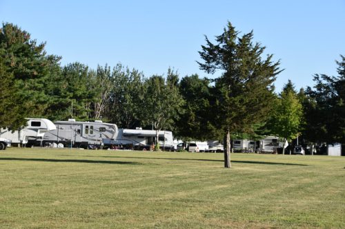 A grassy area with several RVs parked among trees under a clear blue sky.