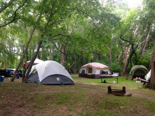 A campsite with several tents set up among lush green trees and a small fire pit in the foreground.