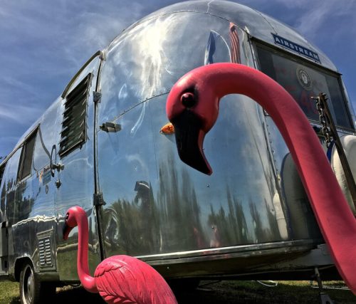 A shiny Airstream trailer with two pink flamingo lawn ornaments in the foreground against a blue sky.