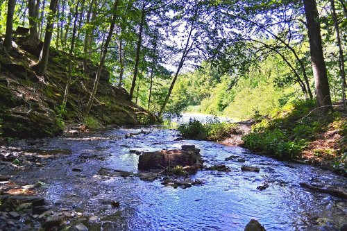 A serene river flows through a lush forest, surrounded by trees and rocky banks under a clear blue sky.
