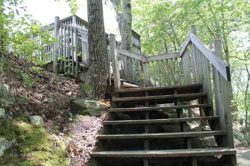 Wooden stairs lead up through a wooded area, surrounded by trees and rocks, to a small platform or lookout.