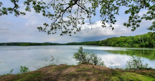 A serene lake surrounded by lush greenery under a cloudy sky, with a tree branch framing the view.