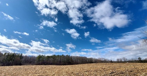 A wide view of a cleared field under a bright blue sky with scattered clouds and a tree line in the background.