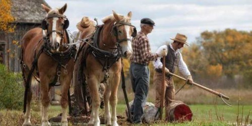 Two men in vintage attire work in a field with horses, surrounded by autumn foliage and a rustic setting.