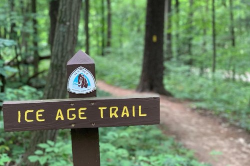 A wooden sign for the Ice Age Trail in a lush green forest, with a path visible in the background.