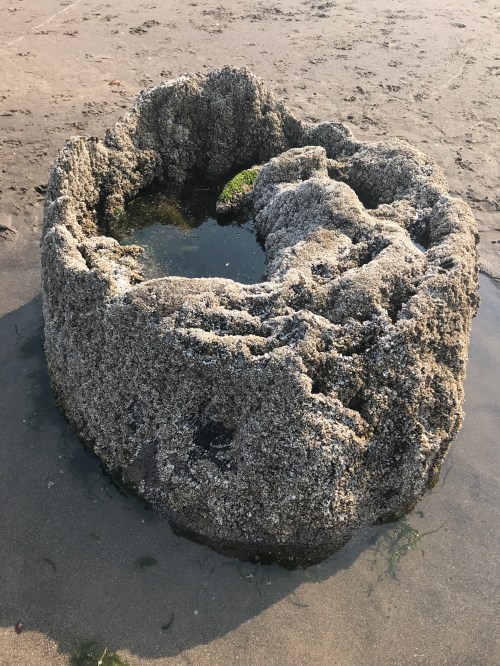 A circular, rocky formation on a sandy beach, with a small pool of water in its center.