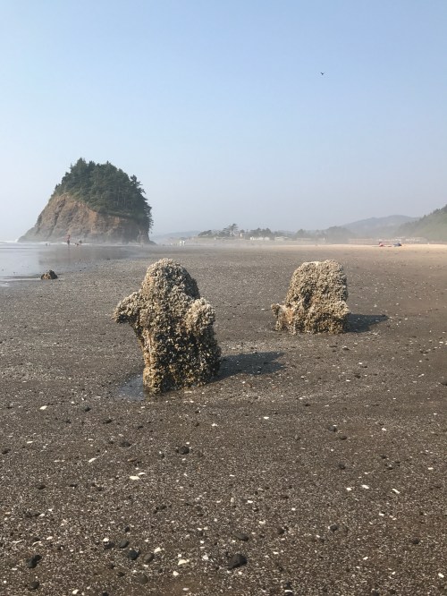 Two rock formations covered in barnacles on a sandy beach, with a distant island and hazy sky in the background.