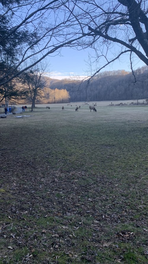 A serene landscape with deer grazing in a grassy field, surrounded by trees and distant mountains under a clear sky.