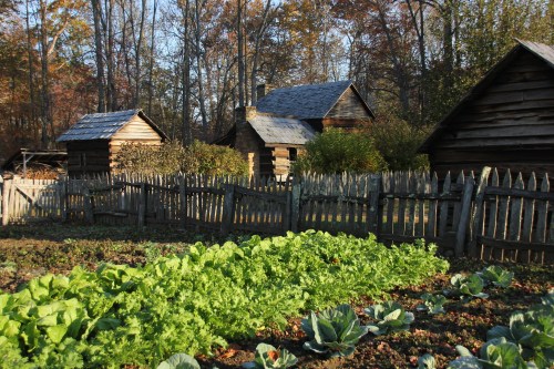 A rustic garden with lettuce and cabbage in the foreground, surrounded by wooden cabins and a picket fence.