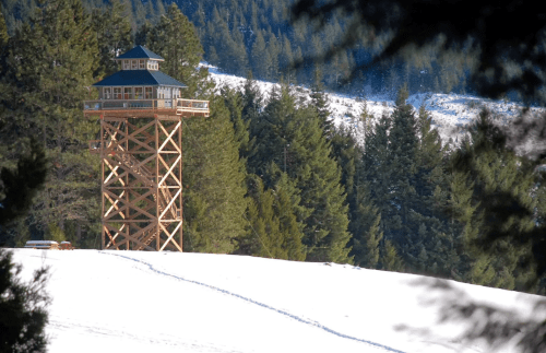 A tall wooden observation tower stands on a snowy landscape, surrounded by evergreen trees and distant mountains.