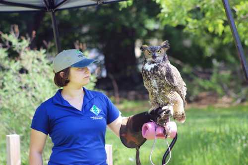 A woman in a blue shirt and cap stands under a tent, holding a large owl on her arm.