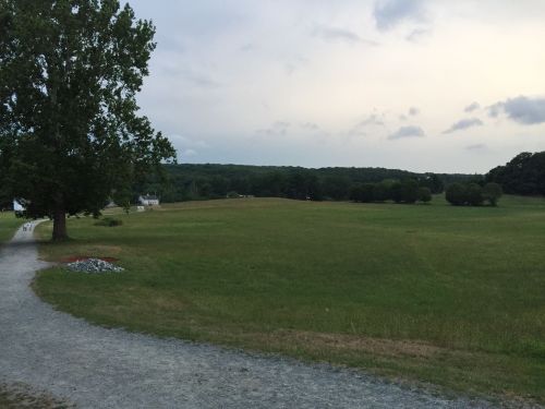 A grassy field with a large tree and a gravel path, under a cloudy sky. Hills are visible in the background.