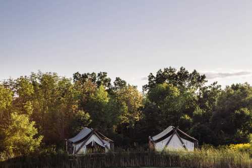 Two white tents nestled among lush green trees under a clear sky, reflecting a serene outdoor setting.