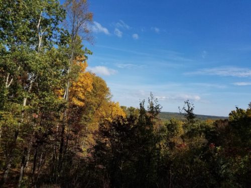 A scenic view of colorful autumn trees under a clear blue sky, with rolling hills in the distance.