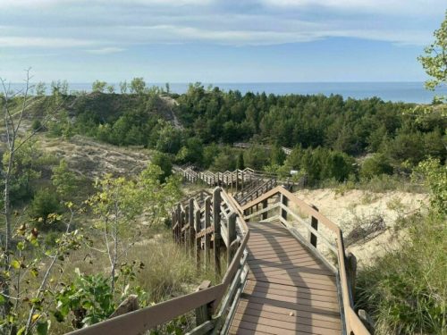 A wooden boardwalk winds through sandy dunes and greenery, leading to a view of the ocean under a clear sky.
