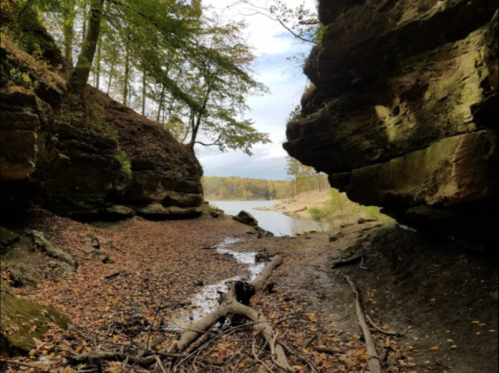 A serene landscape featuring a narrow canyon with rocky walls, a river, and autumn foliage.