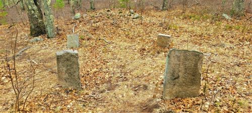 A clearing in the woods with several weathered gravestones surrounded by fallen leaves and sparse trees.