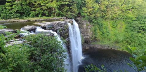 A scenic waterfall cascading into a serene pool, surrounded by lush green trees and rocky cliffs.