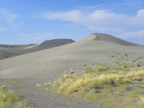 A serene desert landscape featuring rolling sand dunes and sparse vegetation under a blue sky.