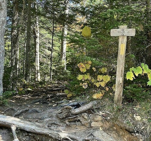 A wooded trail with a signpost indicating the start of a hiking trail, surrounded by trees and autumn foliage.