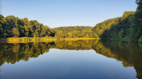 A serene lake surrounded by lush green trees, reflecting the clear blue sky and vibrant foliage.