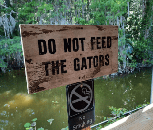 A wooden sign reads "DO NOT FEED THE GATORS" near a body of water, with a no smoking sign below it.
