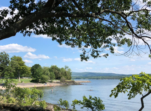 A serene lakeside view with trees, a sandy beach, and people enjoying the water under a clear blue sky.