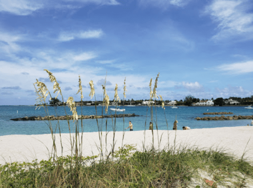 A serene beach scene with tall grass in the foreground, blue water, and a cloudy sky in the background.