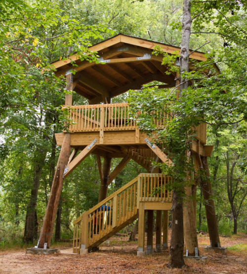 A wooden treehouse with a sloped roof, surrounded by trees, featuring a staircase leading to the entrance.