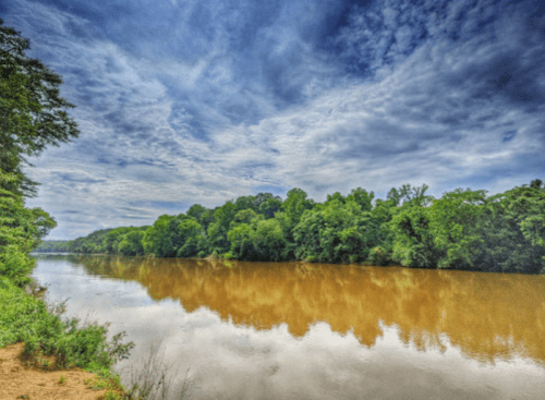 A tranquil river flows through lush green trees under a cloudy blue sky, reflecting the landscape in its waters.