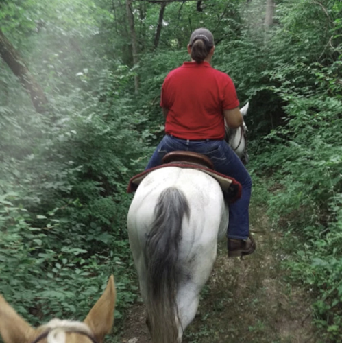 A person in a red shirt rides a white horse along a wooded trail, surrounded by lush greenery.