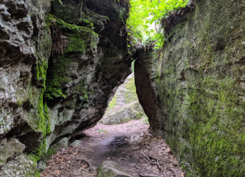 Narrow rocky passageway between moss-covered cliffs, with greenery above and a dirt path leading through.