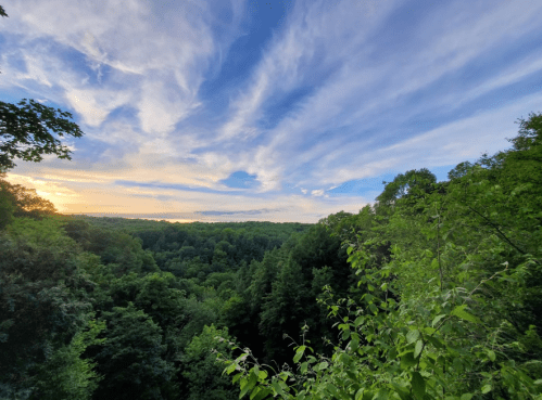 A scenic view of a lush green forest under a blue sky with wispy clouds at sunset.