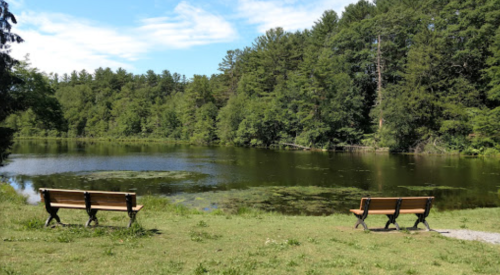Two wooden benches facing a serene pond surrounded by lush greenery under a clear blue sky.