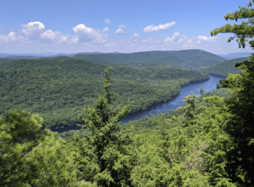 A scenic view of a lush green landscape with a winding river under a blue sky with fluffy clouds.