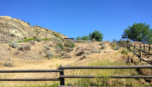 A dry, hilly landscape with sparse vegetation and a wooden fence under a clear blue sky.