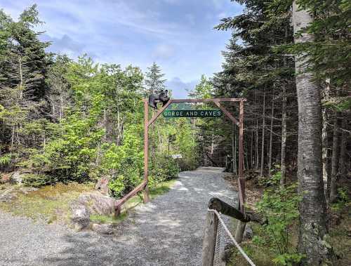 A gravel path leads through trees to a sign reading "Gorge and Caves" at a natural site.