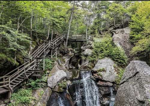 A serene forest scene featuring a waterfall cascading over rocks, with wooden walkways and lush greenery surrounding it.