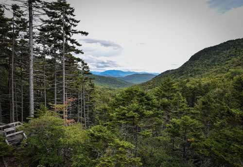 A scenic view of a lush green valley surrounded by mountains, with tall trees in the foreground under a cloudy sky.