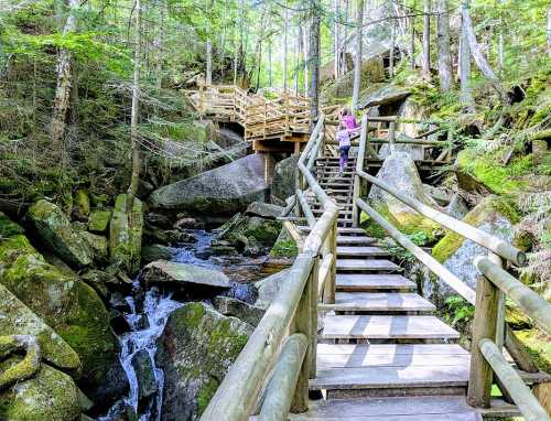 A wooden staircase winds through a lush forest, alongside a small stream and large rocks, with a person sitting on the steps.