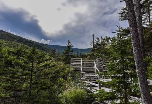 Wooden observation deck surrounded by lush trees and mountains under a cloudy sky.