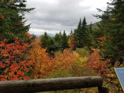 A scenic view of vibrant autumn foliage with trees in shades of orange, red, and yellow under a cloudy sky.