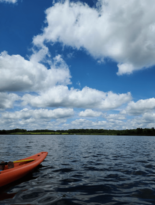 A kayak floats on calm water under a bright blue sky filled with fluffy white clouds. Lush green trees line the shore.