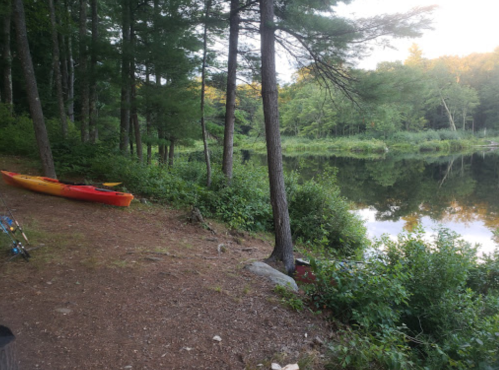 A serene lakeside scene with two kayaks on the shore, surrounded by trees and lush greenery.
