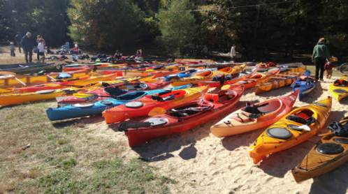 A variety of colorful kayaks lined up on a sandy shore, with people preparing for a kayaking trip in the background.
