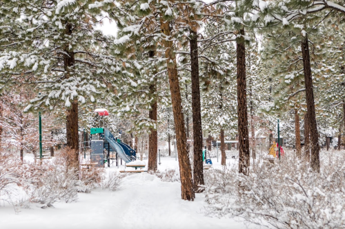 A snowy playground surrounded by tall trees, with slides and swings partially covered in snow.