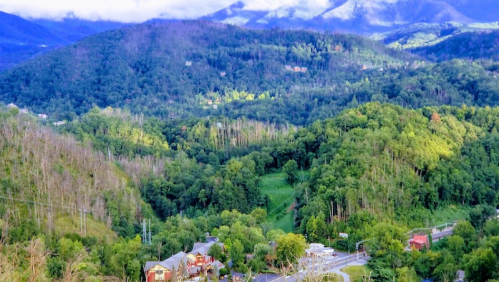 A lush green valley surrounded by mountains, with a small town nestled among the trees.