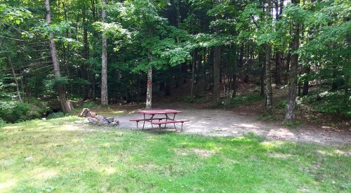 A picnic table sits on a grassy area surrounded by trees in a serene forest setting.