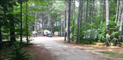 A dirt road leads through a forested area with RVs and tents visible among the trees.